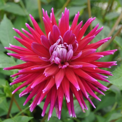 Bild på Gerry Scott