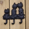 Picture of Tre katter i rad krok