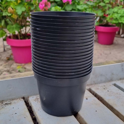 Picture of Grower's Pot in plastic 11,5 cm ⌀ (20pc)