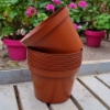 Picture of Grower's Pot in plastic 15 cm ⌀ (10pc)