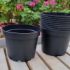 Picture of Grower's Pot in plastic 17 cm ⌀ (10pc)