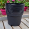 Picture of Grower's Pot in plastic 19 cm ⌀ (10pc)