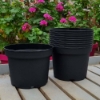 Picture of Grower's Pot in plastic 19 cm ⌀ (10pc)