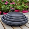 Picture of Saucer 50 cm ⌀ (5 pcs)