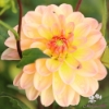 Picture of Justyna