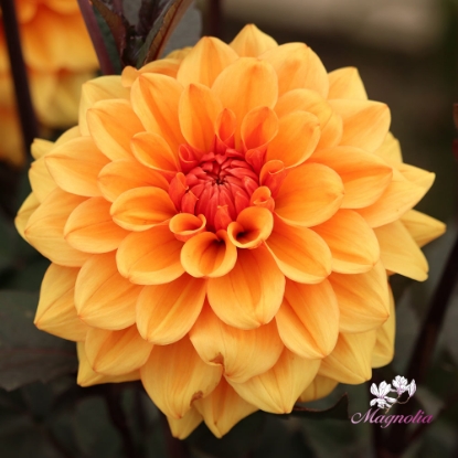 Bild på David Howard (klass 2)