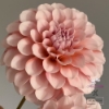 Bild på Blushing Swede Blomstrar (stickling)