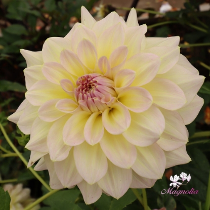 Bild på Alloway Cottage