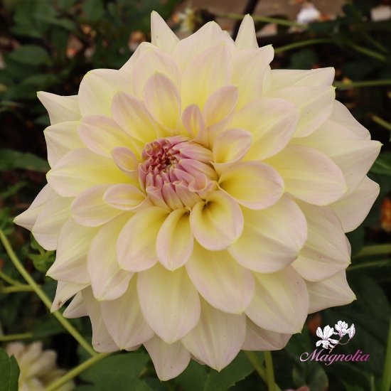 Bild på Alloway Cottage