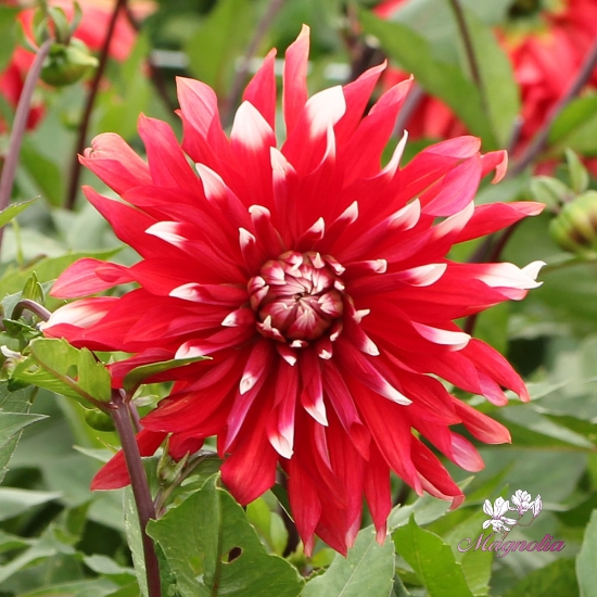 Bild på Blithe Spirit