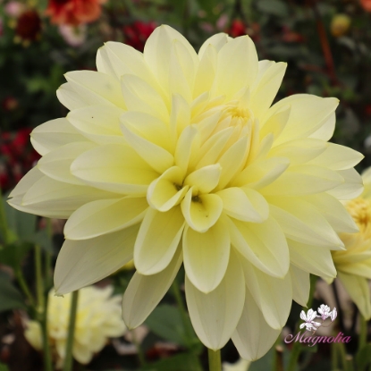 Bild på Creme Corner