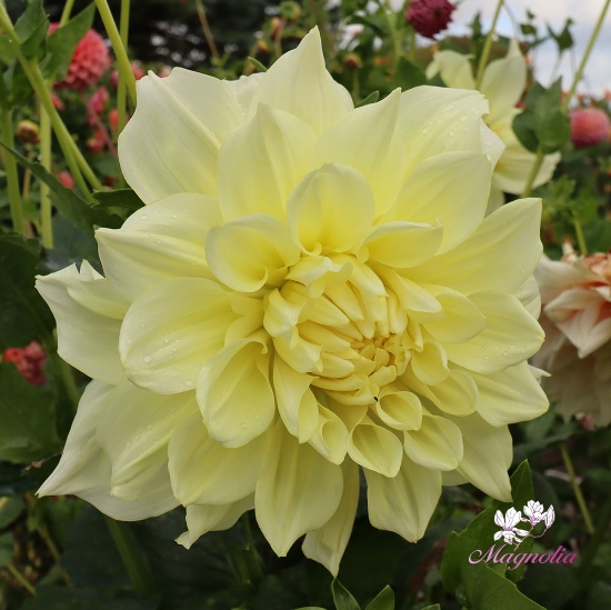 Bild på Ice Breaker