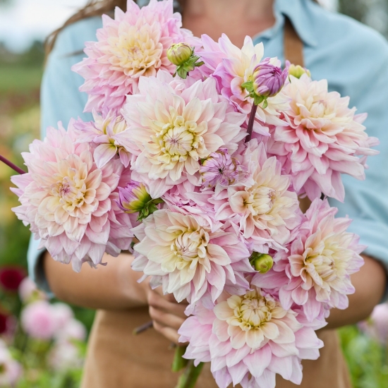 Bild på Sweet September