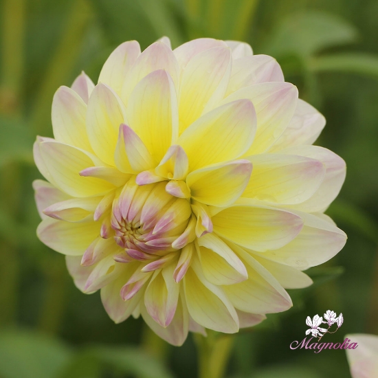 Bild på Matrix (Aquarelle)