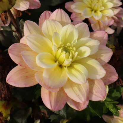 Picture of Vallée de la Loire