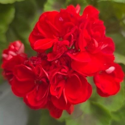 Bild på Ekeby Karin