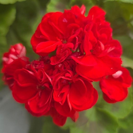 Bild på Ekeby Karin