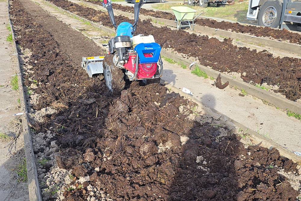 gödsling i rabatterna